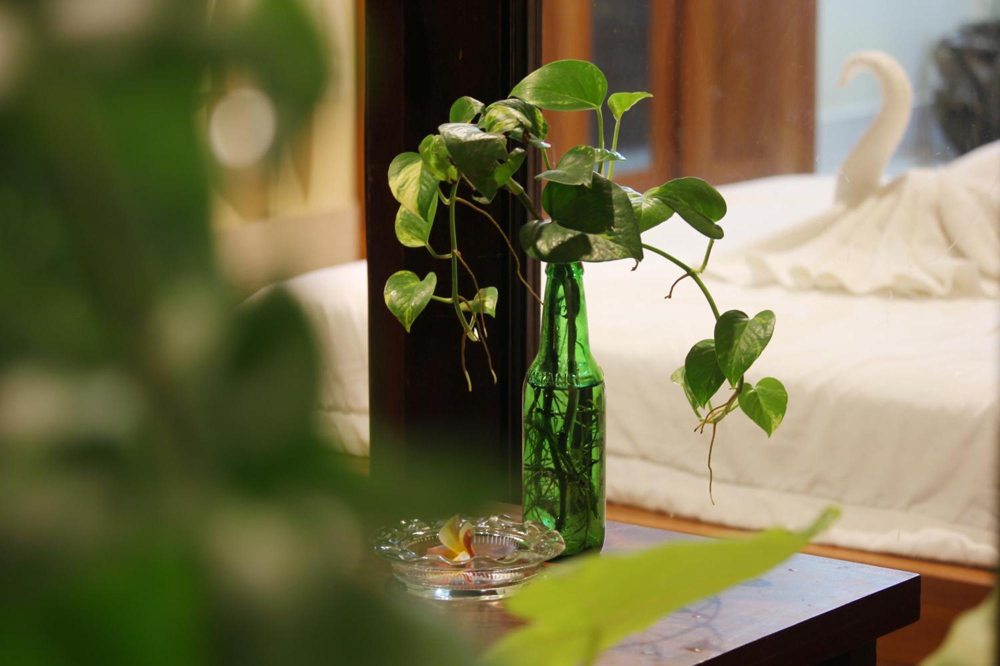 אובוד Sari Gong Guest House, A Trishula Collection מראה חיצוני תמונה